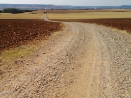 Afueras de Meco